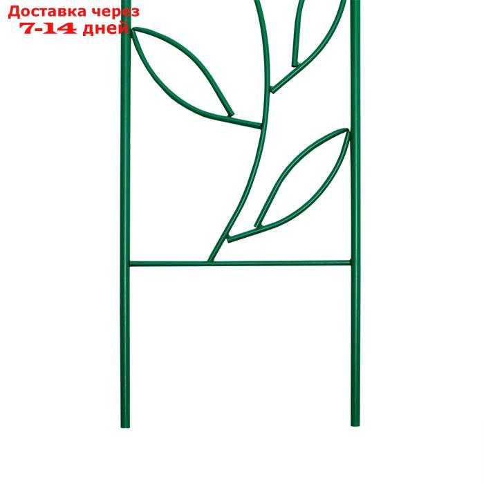 Шпалера, 173 × 78 × 1 см, металл, зелёная, "Декоративная. Стебель" - фото 2 - id-p223645287