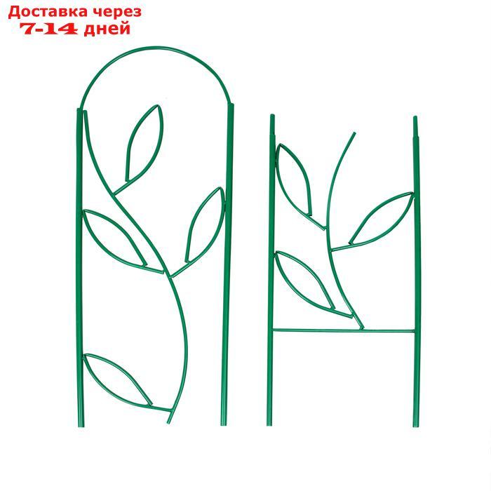 Шпалера, 173 × 78 × 1 см, металл, зелёная, "Декоративная. Стебель" - фото 5 - id-p223645287
