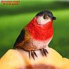 Садовая фигура "Гриб рыжик с птичкой" 20*22*32 см, фото 4