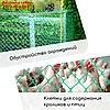 Сетка садовая, 0.5 × 10 м, ячейка 1.5 × 1.5 см, зелёная, Greengo, фото 4