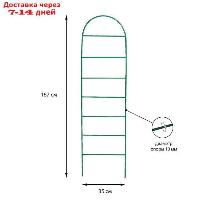 Шпалера, 167 × 35 × 1 см, металл, зелёная, "Лестница"