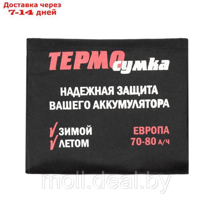 Термосумка для аккумулятора Европа, 70 - 80 А/ч - фото 5 - id-p223666791