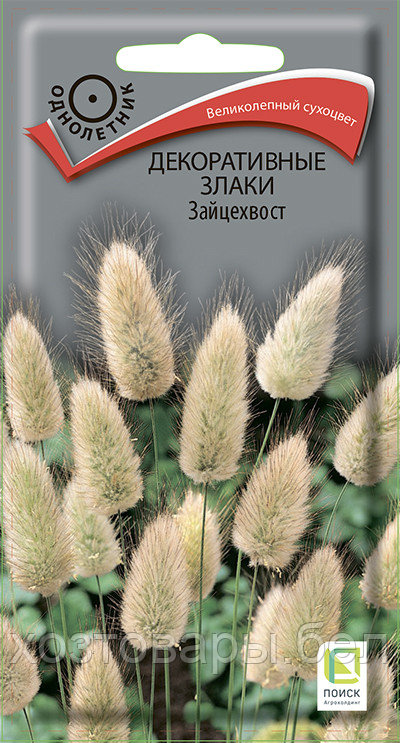 Декоративные злаки (Зайцехвост,лагурус) сухоцвет 0,1г Одн 50см (Поиск)