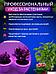 Фитолента для растений рассады цветов светодиодная лента 3 метра фитосвет подсветка свет полного спектра, фото 4