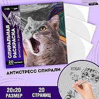 Спиральная раскраска-антистресс Школа талантов Мир котиков