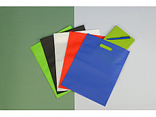 Сумка для выставок Prime, черный, фото 3