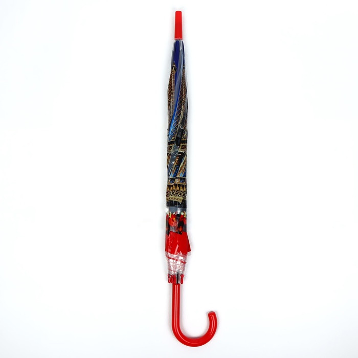 Зонт - трость полуавтоматический «Париж», 8 спиц, R = 41 см, рисунок МИКС - фото 7 - id-p223793173