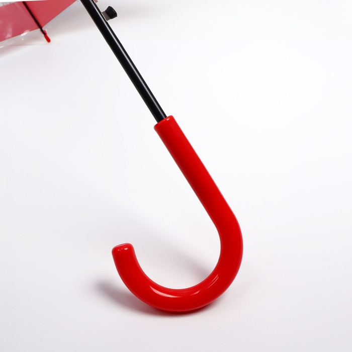 Зонт - трость полуавтоматический «Париж», 8 спиц, R = 41 см, рисунок МИКС - фото 9 - id-p223793173