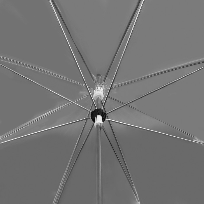 Зонт - трость механический «Кант», 8 спиц, R = 43 см, цвет чёрный/прозрачный - фото 3 - id-p223793175