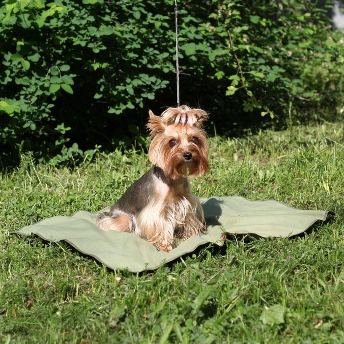 Охлаждающий коврик для собак, размер 50 х 70 см - фото 2 - id-p223794785