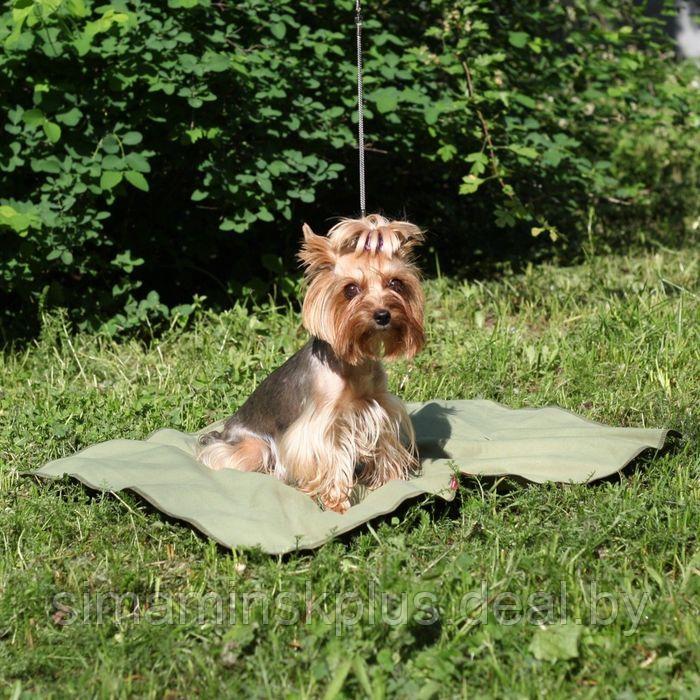 Охлаждающий коврик для собак, размер 50 х 70 см - фото 2 - id-p223796753