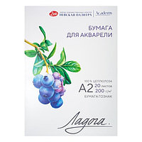 Бумага для Акварели в папке А2, ЗХК "Ладога", 20 листов, 200 г/м2, среднезернистая, 252781931