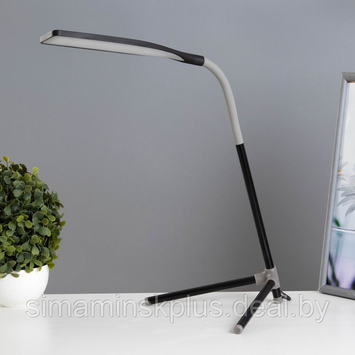 Настольная лампа "Эрудит" LED 5Вт черный 20х23х61 см RISALUX - фото 1 - id-p223801499
