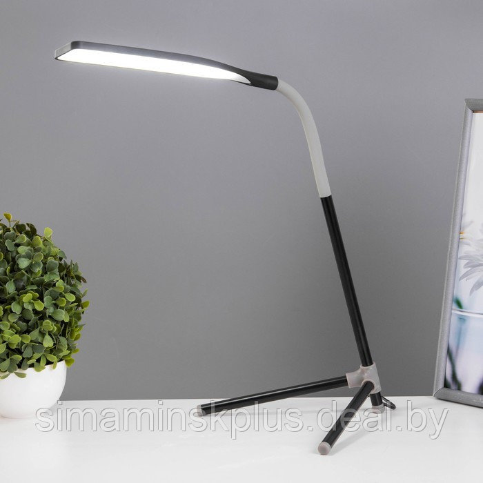 Настольная лампа "Эрудит" LED 5Вт черный 20х23х61 см RISALUX - фото 2 - id-p223801499
