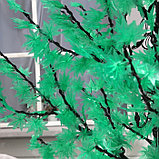 Светодиодное дерево «Зелёный клён» 2 м, 900 LED, постоянное свечение, 220 В, свечение белое, фото 4