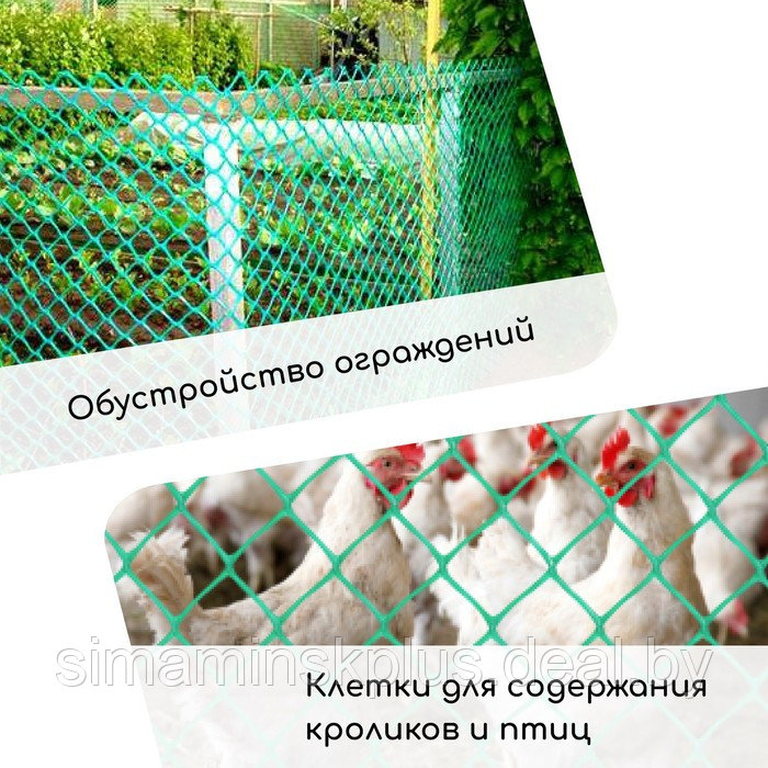 Сетка садовая, 0.5 × 5 м, ячейка 40 × 40 мм, пластиковая, зелёная, Greengo - фото 4 - id-p223802166
