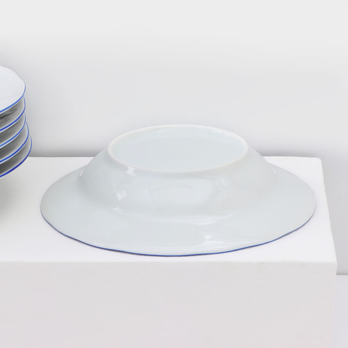 Набор фарфоровых тарелок «Гуси», 12 предметов: 6 супниц 350 мл, 6 плоских тарелок d=20 см - фото 6 - id-p223802751