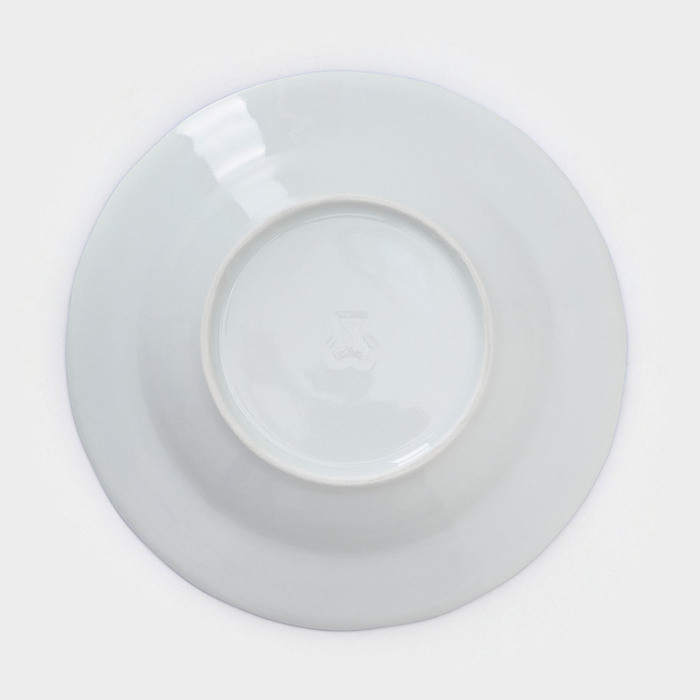 Набор фарфоровых тарелок «Гуси», 12 предметов: 6 супниц 350 мл, 6 плоских тарелок d=20 см - фото 7 - id-p223802751