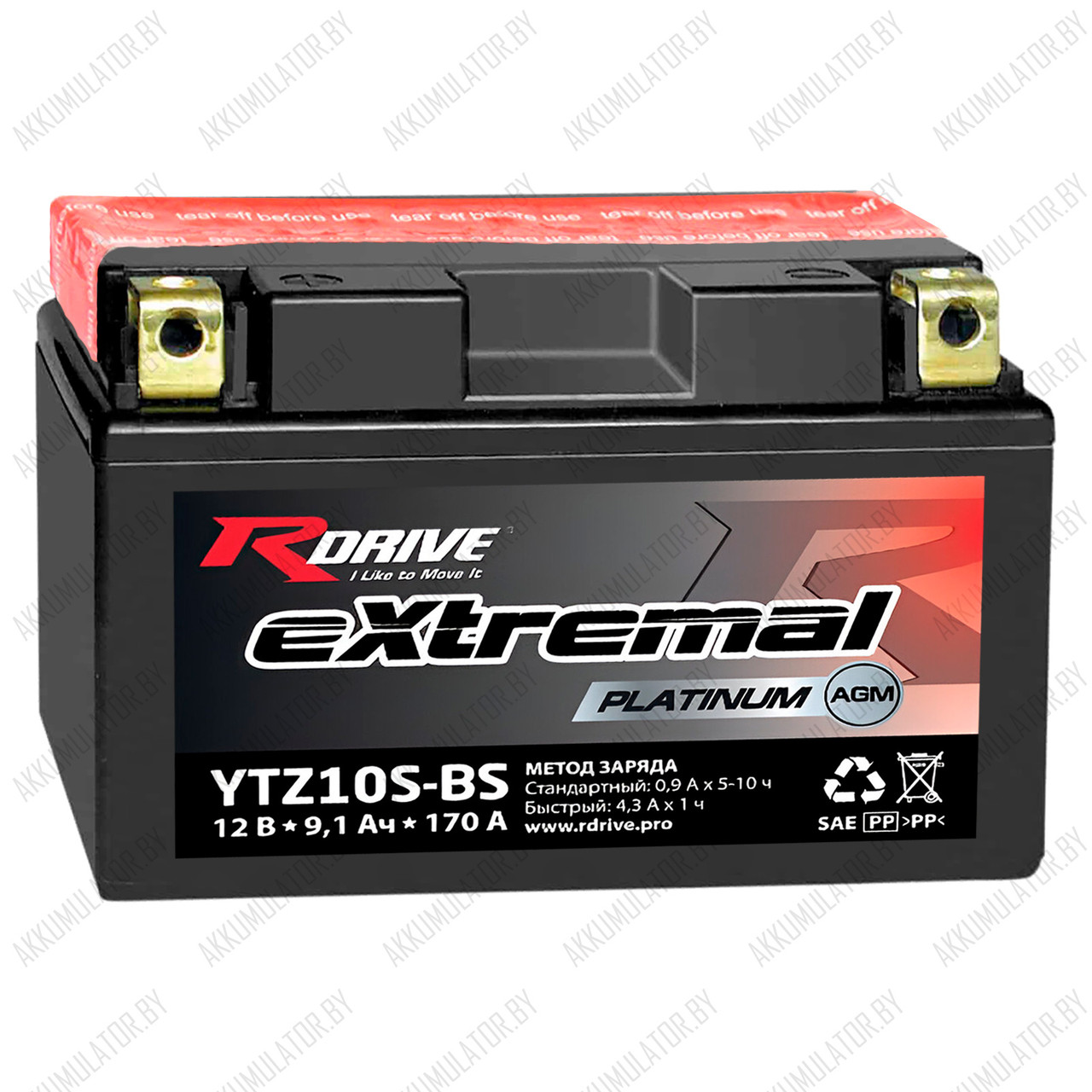 RDrive eXtremal Platinum YTZ10S-BS / 9,1Ah - фото 1 - id-p223818771