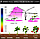 Фитолампа для растений и рассады светодиодная на прищепке. Разные модели, фото 8