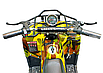 Электроквадроцикл GreenCamel Гоби K40 (36V 800W R6 Цепь) быстросъем, фото 5