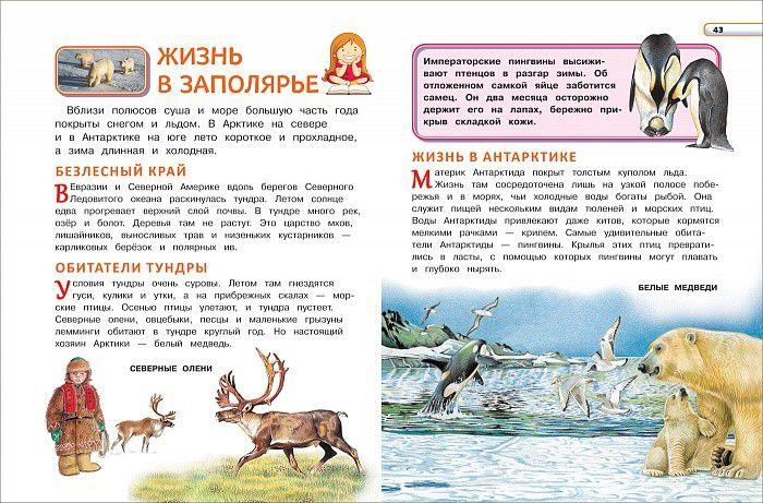Большая энциклопедия для детского сада - фото 2 - id-p223866983