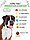 "Рэкс" Корм сухой для взрослых собак средних и крупных пород КСС-12 Б1 ЖБН-5 уп 20кг), фото 2