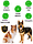 "Рэкс" Корм сухой для взрослых собак средних и крупных пород КСС-12 Б1 ЖБН-5 уп 20кг), фото 4