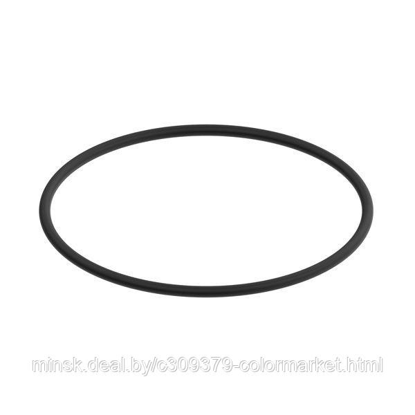 O-образное кольцо резиновое Durr в бак красконагнетательный (M08030822) - фото 1 - id-p223612632