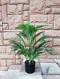 Искусственное растение ForGarden Areca Palm / BN10662, фото 2