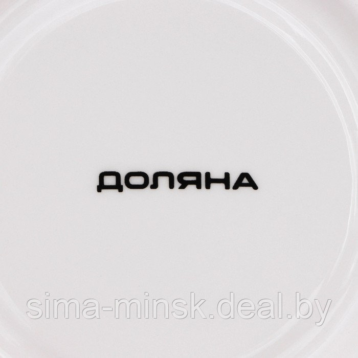Сервиз чайный фарфоровый Доляна Ternura, 12 предметов: 6 чашек 250 мл, 6 блюдец d=15 см - фото 8 - id-p223871247