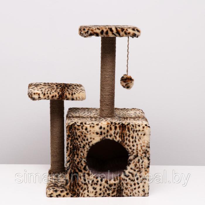 Домик для кошек с когтеточкой, квадратный, 3х-этажный, 45 × 47 × 75 см, леопард - фото 3 - id-p223875914