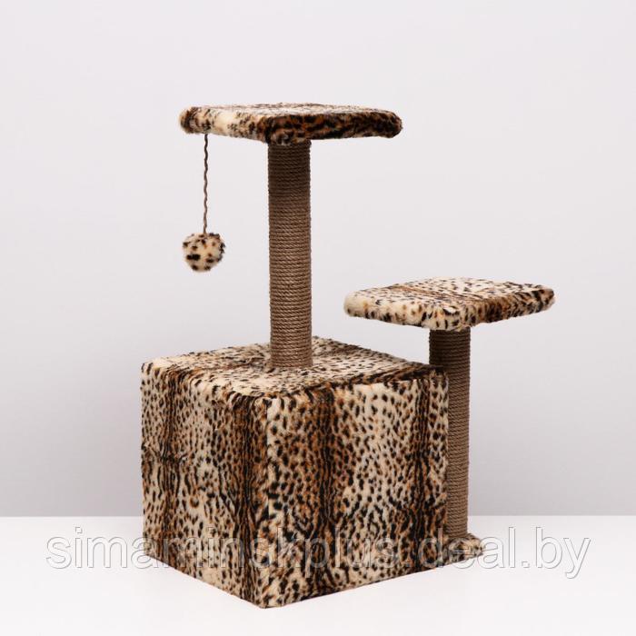 Домик для кошек с когтеточкой, квадратный, 3х-этажный, 45 × 47 × 75 см, леопард - фото 4 - id-p223875914
