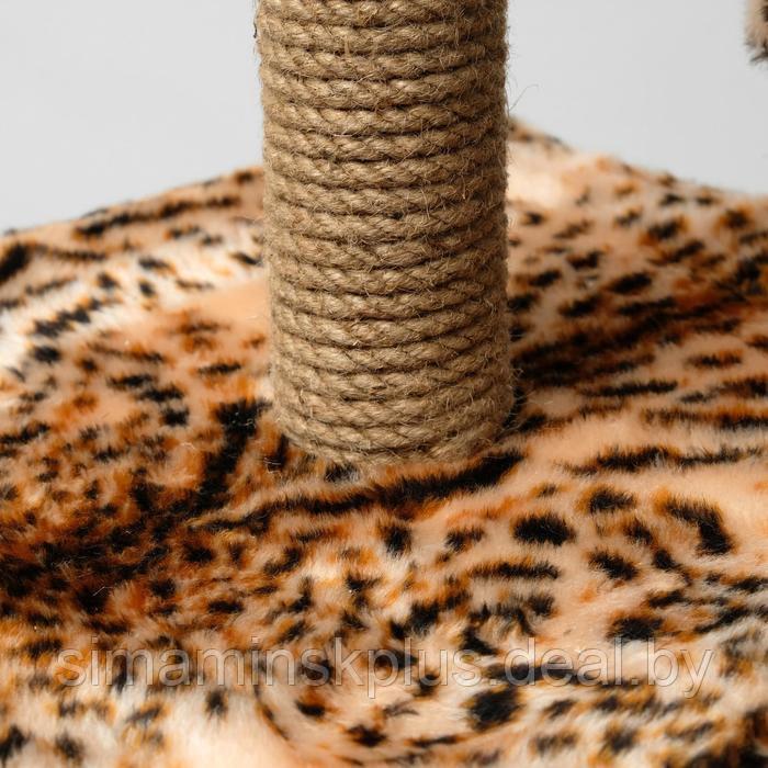 Домик для кошек с когтеточкой, квадратный, 3х-этажный, 45 × 47 × 75 см, леопард - фото 5 - id-p223875914