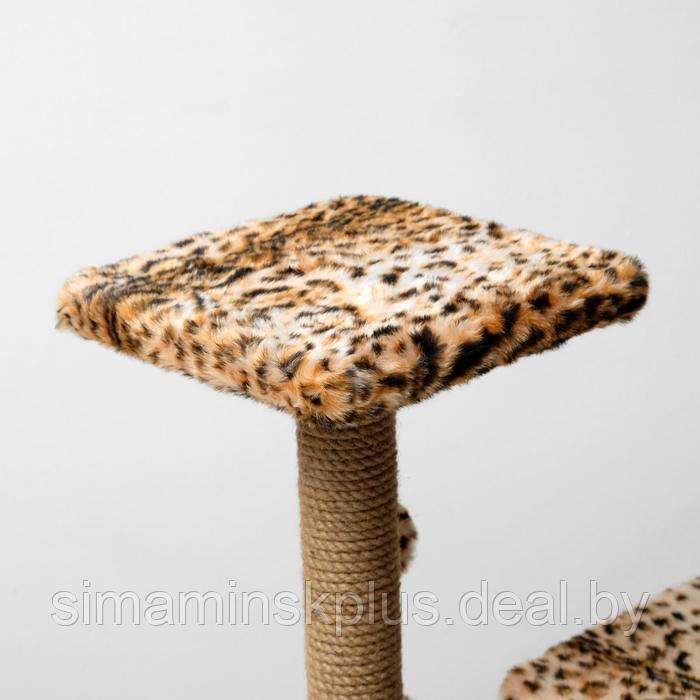 Домик для кошек с когтеточкой, квадратный, 3х-этажный, 45 × 47 × 75 см, леопард - фото 6 - id-p223875914