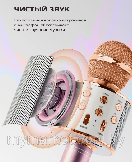 Микрофон караоке беспроводной Wster WS-858 - фото 3 - id-p223876194