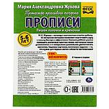 Прописи. Жукова М.А. Пишем палочки и крючочки. 5-6 лет. Рабочая тетрадь, фото 5