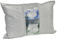 Подушка для сна Karven Pillow In Pillow Goose Down 50x70 / Е 929