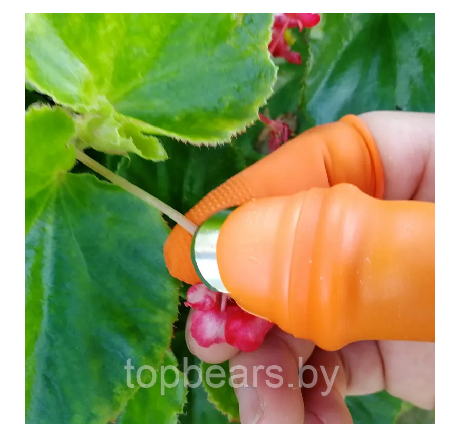 Садовый нож секатор на палец для сада и огорода Ноготок (напальчник, обрезчик) (набор из 6 предметов) - фото 7 - id-p223889382