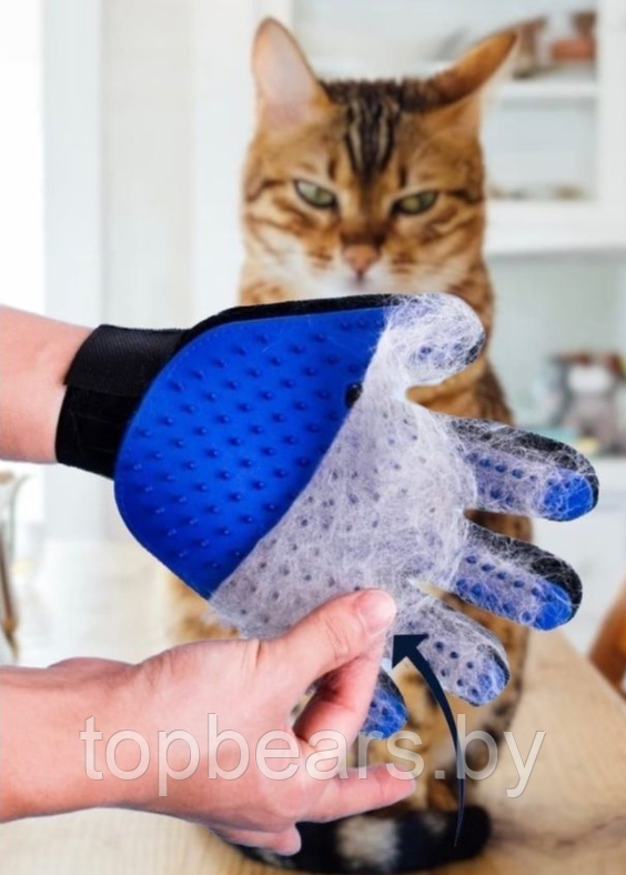 Перчатка для вычесывания шерсти домашних животных True Touch - фото 2 - id-p223889389