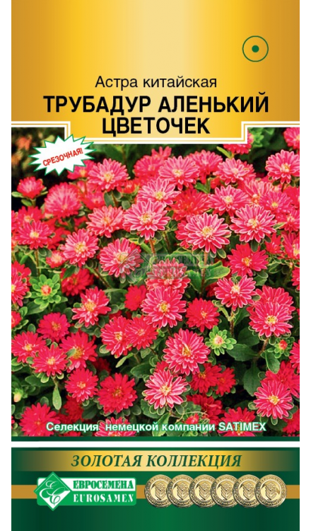 Астра китайская Трубадур Аленький цветочек (10 шт) Евросемена - фото 1 - id-p223895803