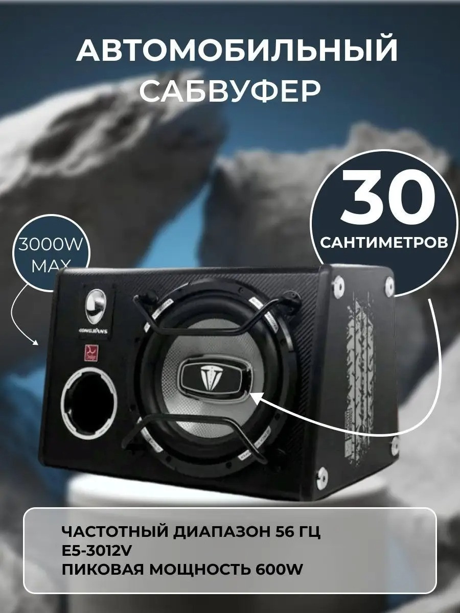 Активный сабвуфер E5-OLOM 3000w