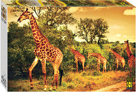 Пазл Step Puzzle Южноафриканские жирафы / 85420