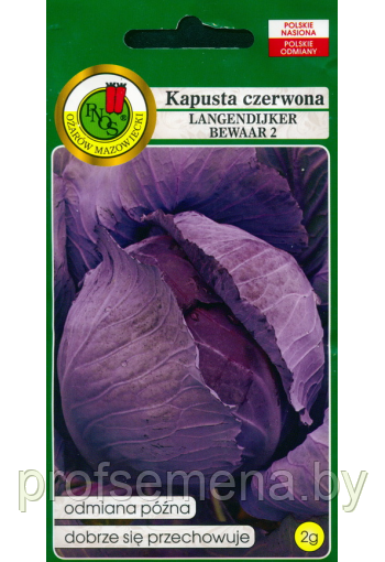 Капуста краснокочанная Лангедейкер Биваар, семена, 2гр., (fs) - фото 1 - id-p223900055