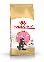 Royal Canin Maine Coon Kitten сухой корм для котят породы Мэйн Кун в возрасте до 15 месяцев, 10 кг (Россия)