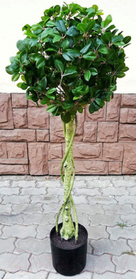 Искусственное растение ForGarden Дерево Chinese Ficus / FGN BF01703 - фото 1 - id-p223915207