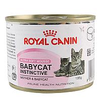 Royal Canin BABYCAT INSTINCTIVE влажный корм для кошек и котят, с рождения до 4 месяцев, 195г., (Австрия)