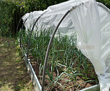 Пленка на дуги для минипарников светостабилизированная (ширина 2м) прозрачная 100мкм, фото 4