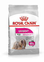 Сухой корм Royal Canin Mini Exigent для взрослых и стареющих собак мелких размеров 1кг.