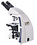 Микроскоп Levenhuk MED 40B, бинокулярный, фото 6